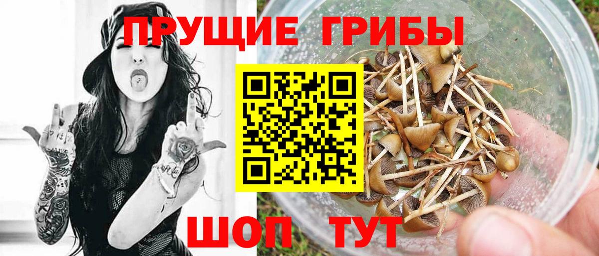 Псилоцибиновые грибы мицелий  Вход с VPN  где купить наркоту  Первоуральск  Псилоцибиновые грибы прущие грибы 