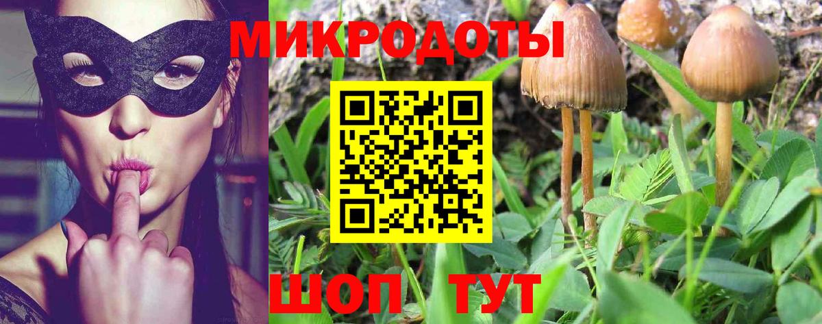 Псилоцибиновые грибы Psilocybe Первоуральск